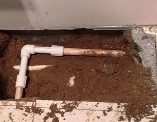 三门峡市测漏水哪家好