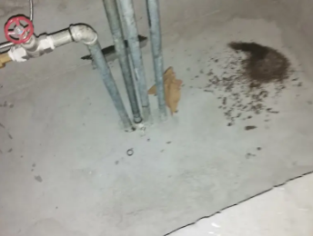 三门峡市卫生间测漏水价格明细