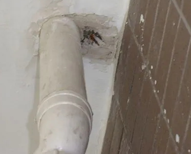 三门峡市漏水检测哪家好